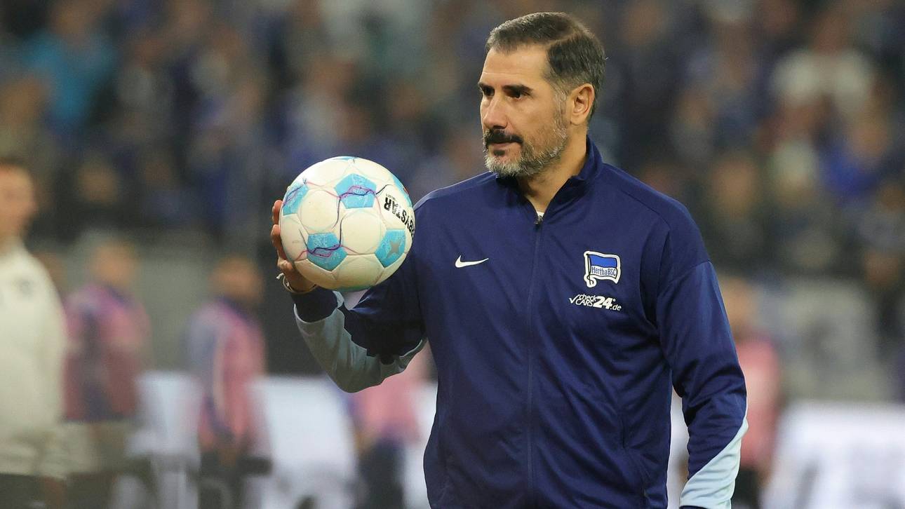 Endspiel für Hertha-Coach Fiél