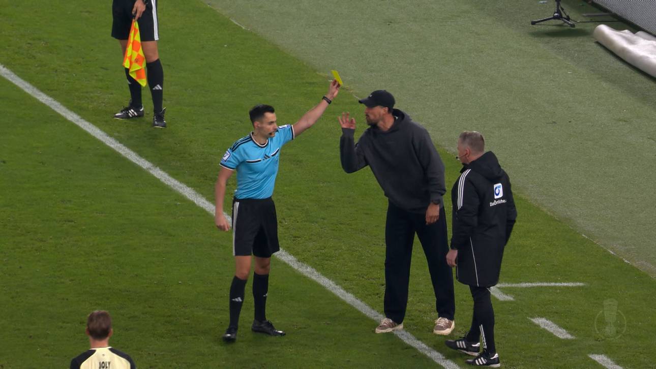 Plötzlich ist Sandro Wagner kaum noch zu bändigen