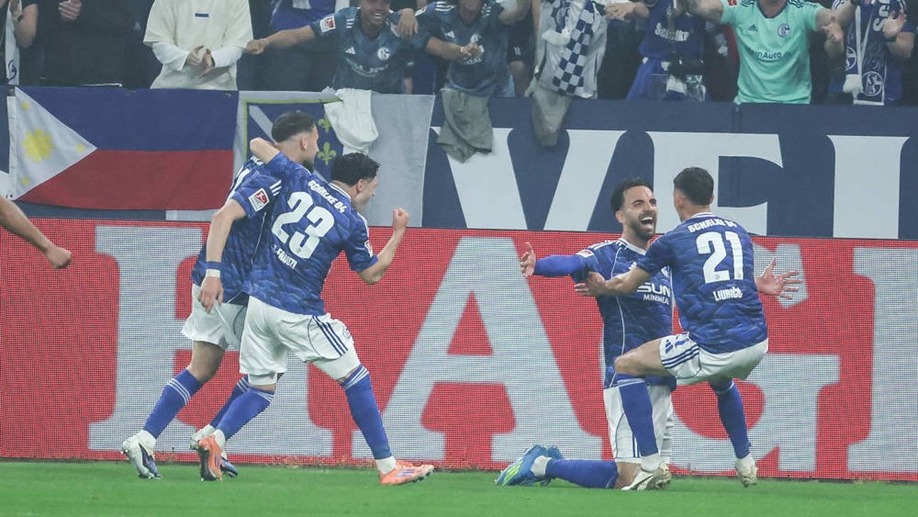 Schalke ist zurück in der Bundesliga!