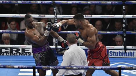 Dillian Whyte, Doping, Deontay Wilder