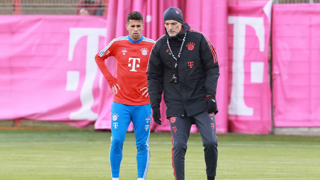 Wem Tuchel sein Vertrauen ausspricht