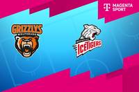 Grizzlys Wolfsburg - Nürnberg Ice Tigers: Tore und Highlights | PENNY DEL