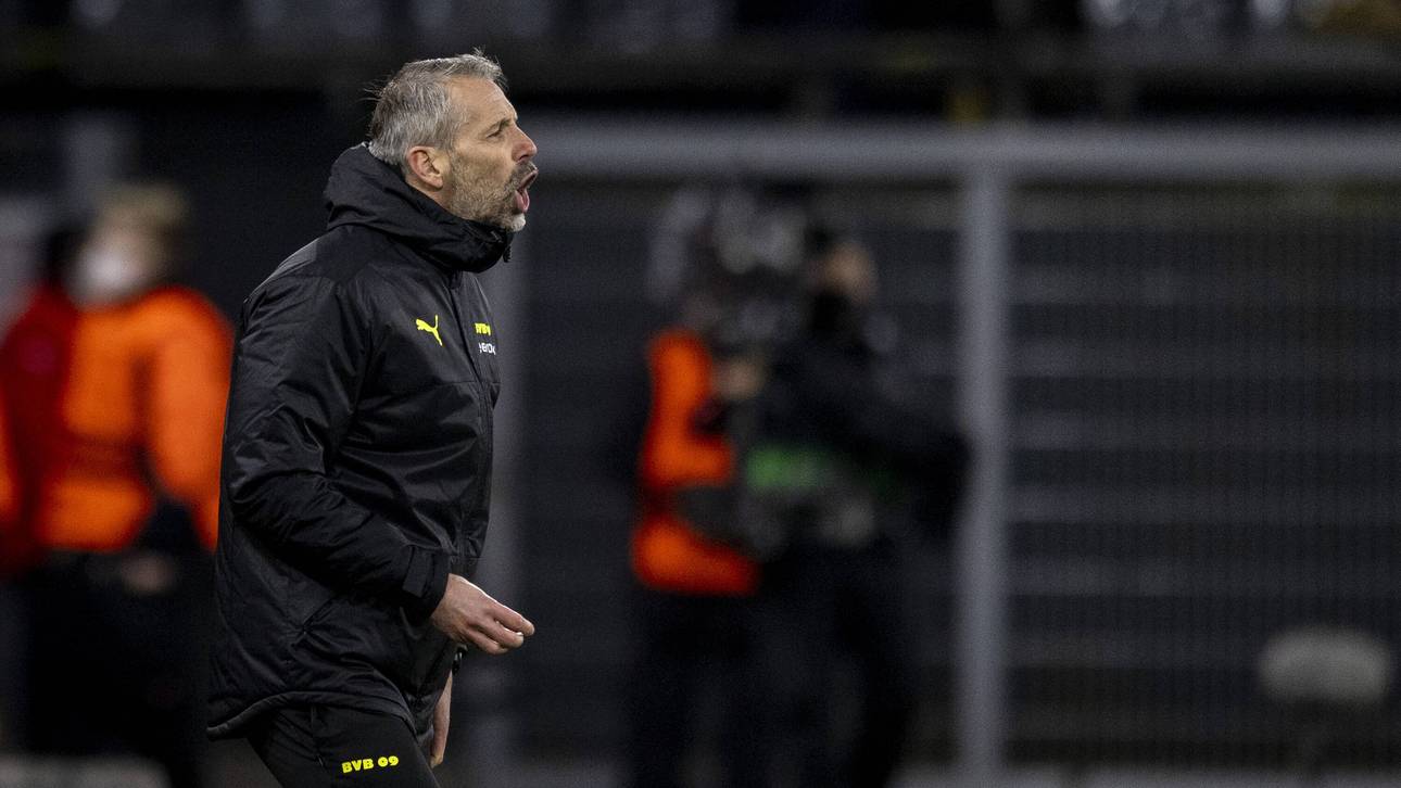 „Ich steche herein in das Wespennest“