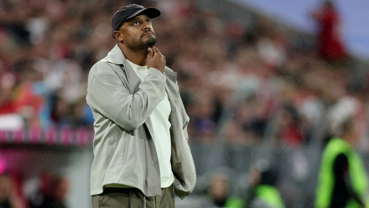 Umfrage: Fans trauen FC Bayern Königsklassen-Triumph zu