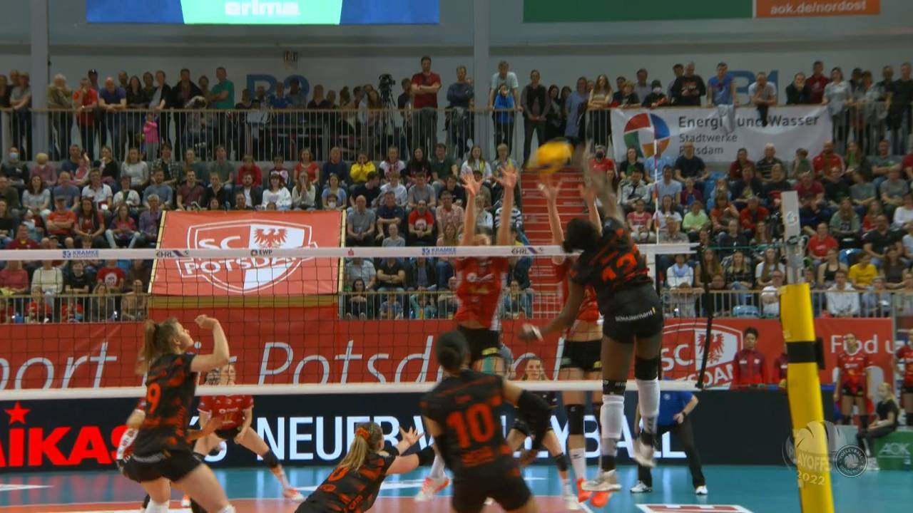 Volleyball Bundesliga: So spektakulär gewinnt Stuttgart beim SC Potsdam