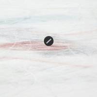 Der ERC Ingolstadt hat in den Play-off-Viertelfinals der Deutschen Eishockey Liga seinen ersten Matchball zum Einzug in die Vorschlussrunde erspielt.