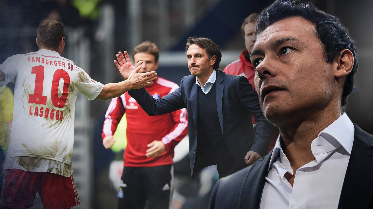 Cardoso glaubt an Labbadia