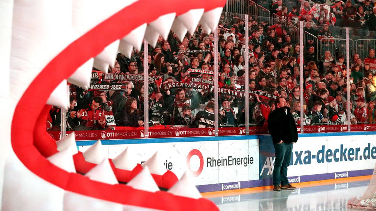 Zuschauerrückkehr? Hoffnung für Haie