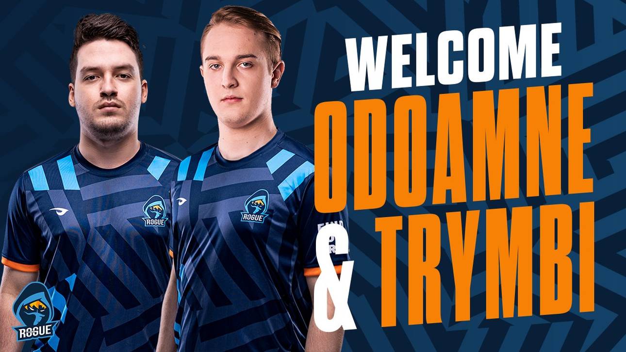 Transferbeben in der LEC