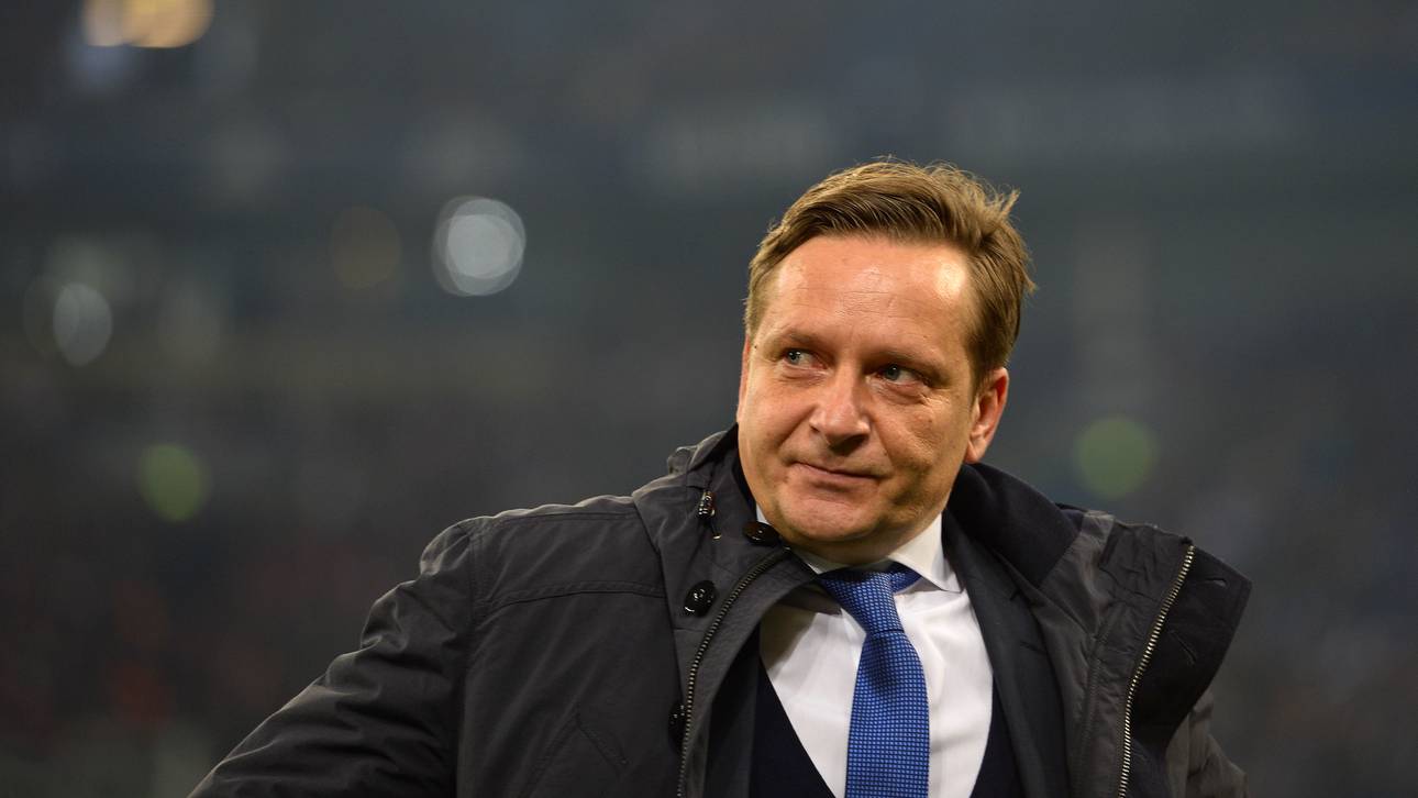 Heldt hat neue Job-Angebote
