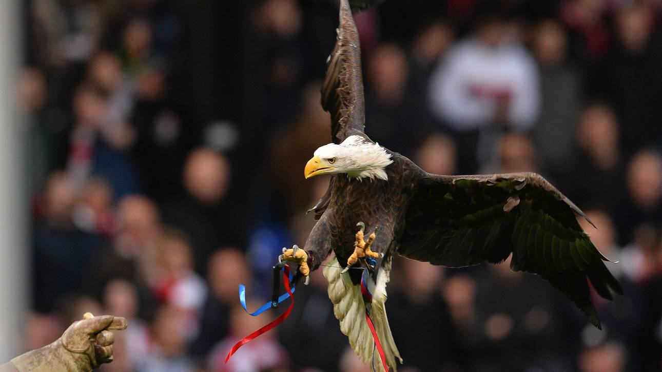 Adler nutzt Pregame-Show zur Flucht