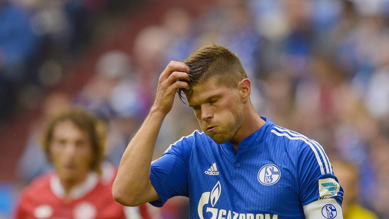 S04 ohne Huntelaar – Gregoritsch dabei