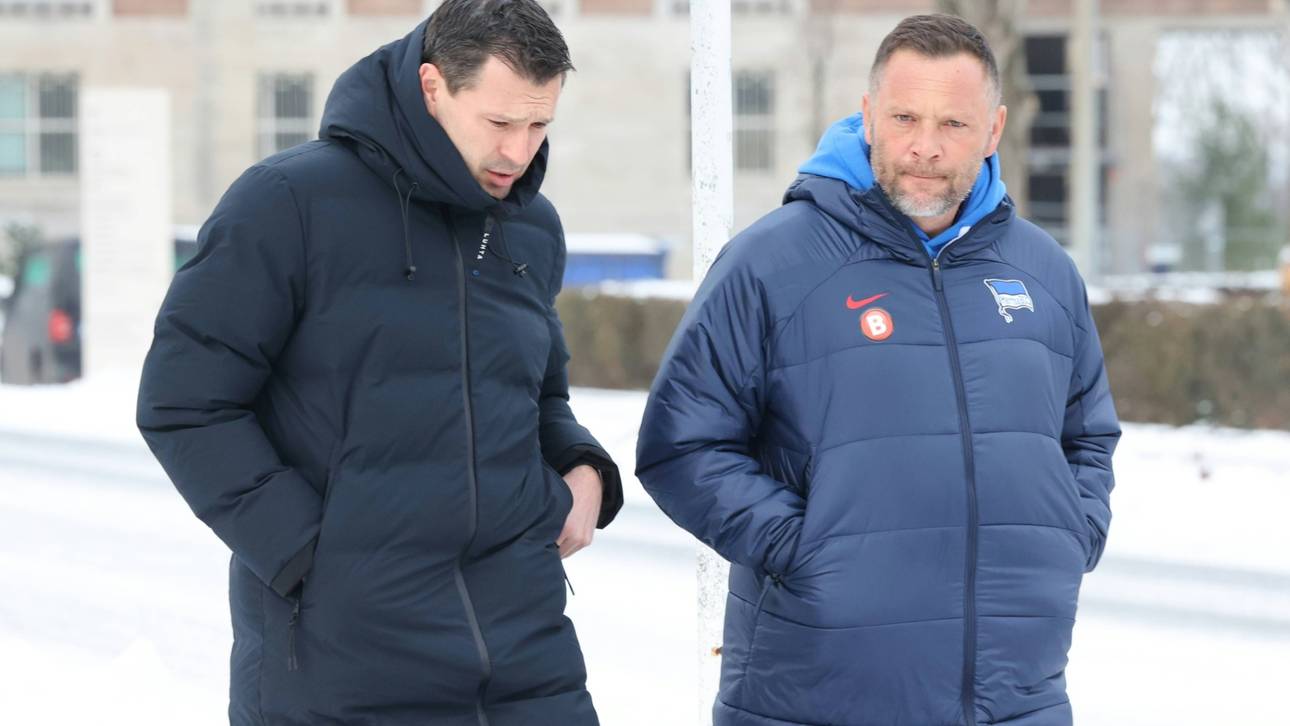 Dardai mit emotionalen Worten