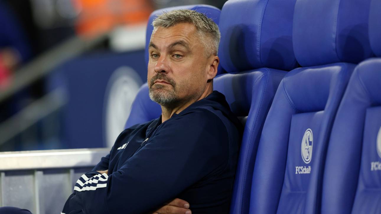 Trotz Sieg: Schalke-Coach Reis nicht zufrieden