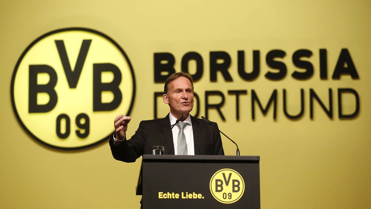 BVB mit positivem Geschäftsergebnis