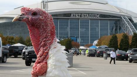 Das AT&T Stadium in Dallas ist Kandidat für das Finale 