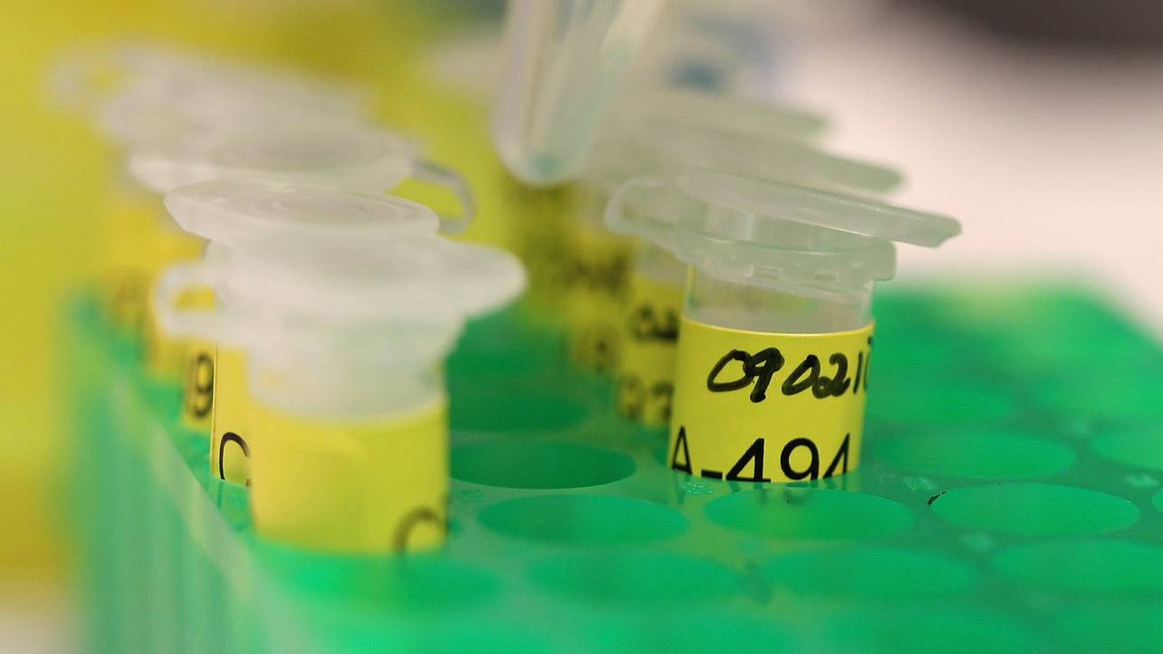 Zwölf-Punkte-Plan gegen Doping