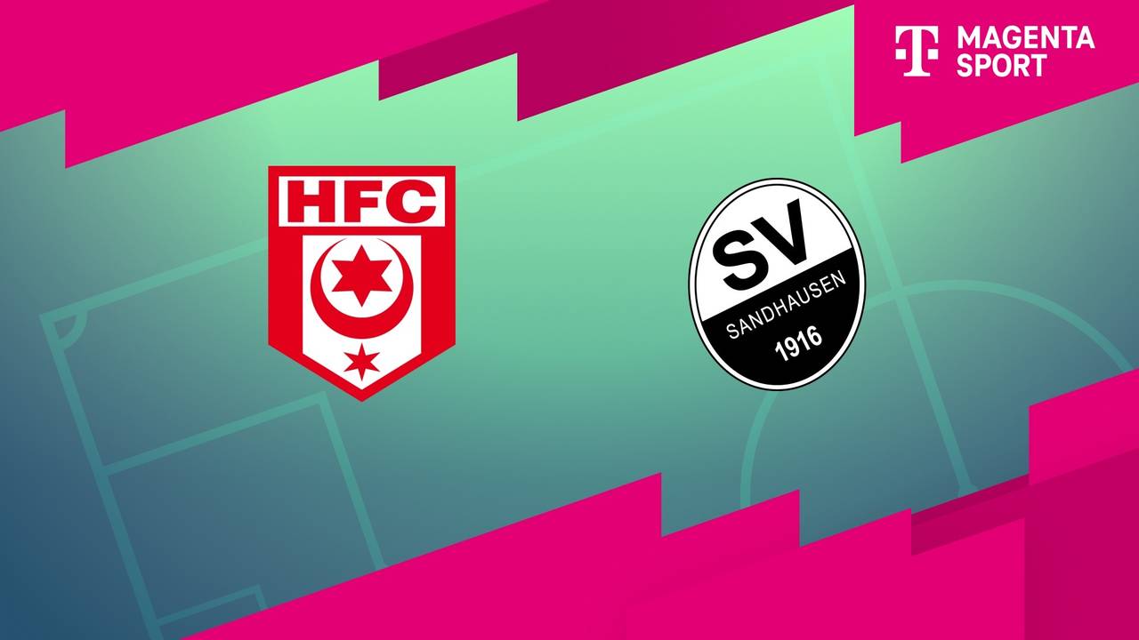 Hallescher FC - SV Sandhausen (Highlights)