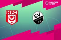 Hallescher FC - SV Sandhausen: Tore und Highlights | 3. Liga