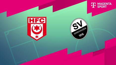 Hallescher FC - SV Sandhausen: Tore und Highlights | 3. Liga