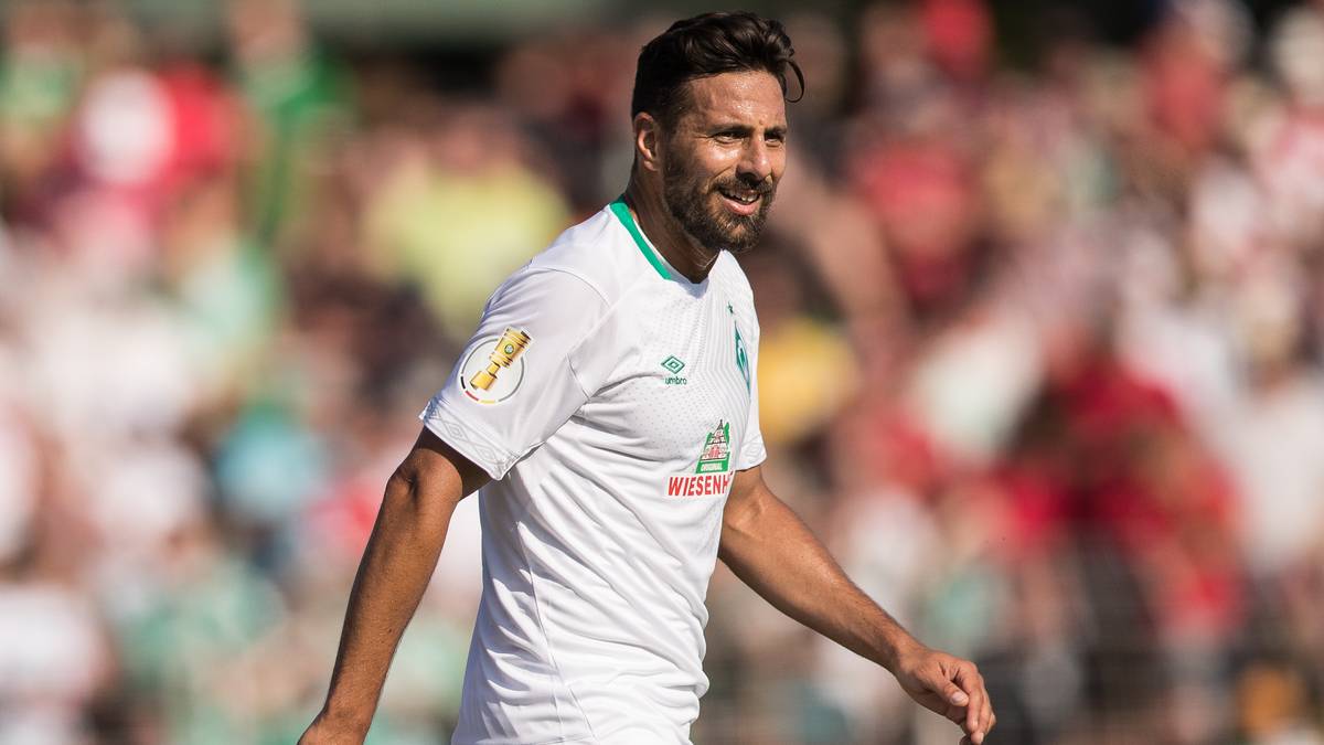 PLATZ 2: Claudio Pizarro, 196 Tore (Werder Bremen, FC Bayern München, 1. FC Köln)
