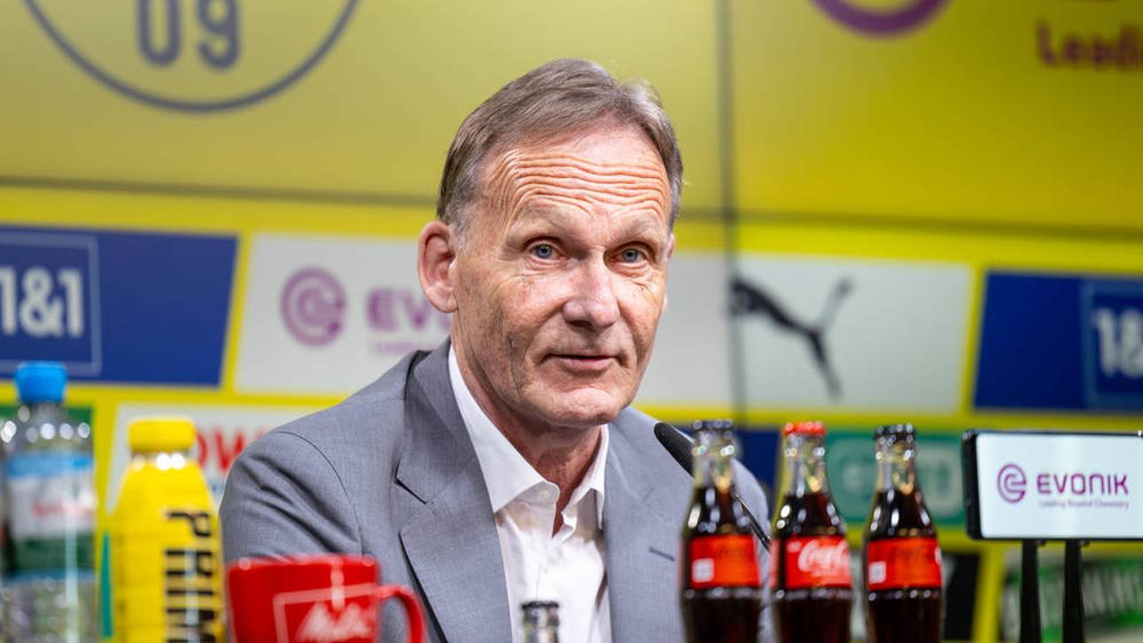 BVB vermeldet Rekordumsatz