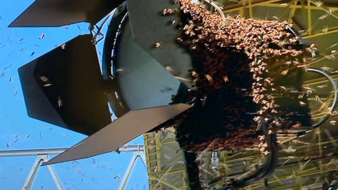 Feuerwehreinsatz vor BVB-Spiel