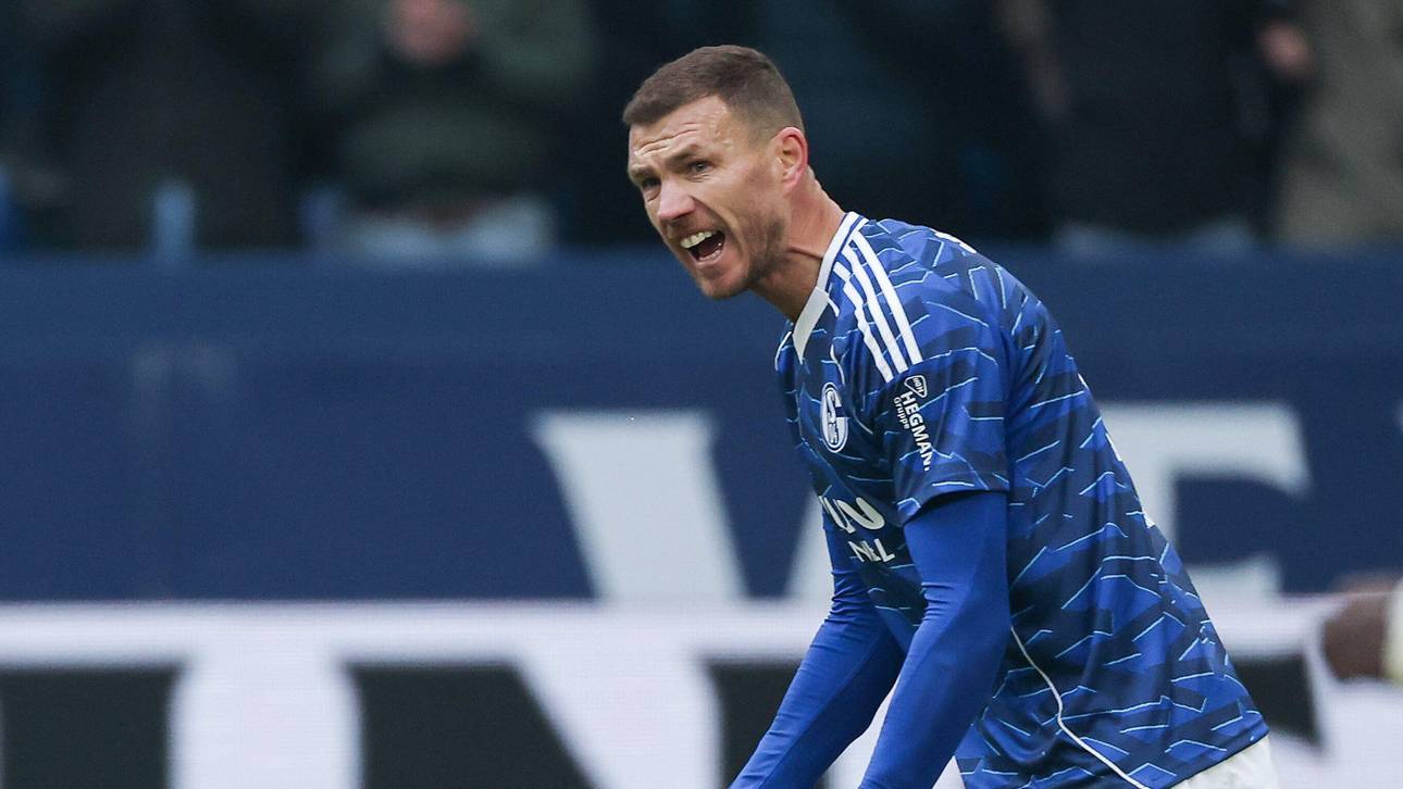 Bochum vs Schalke Prognosen, Wett Tipps und Quoten | 2. Bundesliga am 31.01.2026