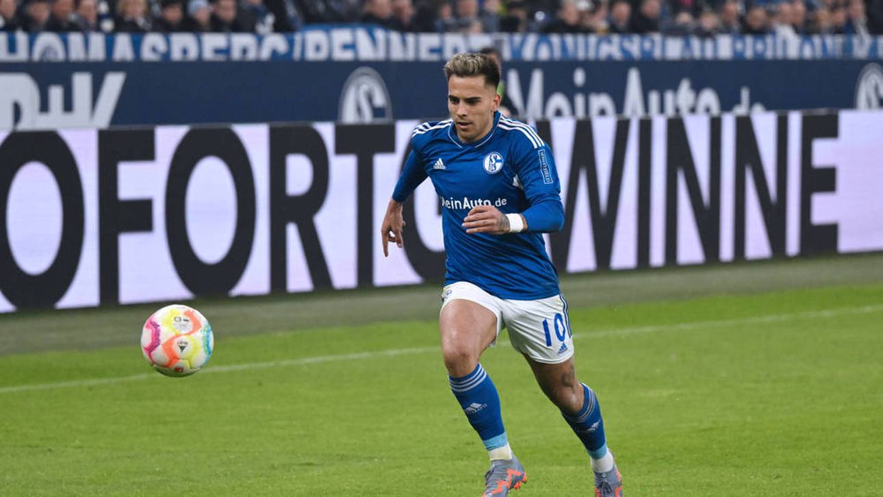 Abstiegskampf pur für Schalke