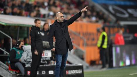 Bayer Leverkusen: Trainer Peter Bosz will sich auf eigenes Spiel konzentrieren , Leverkusens Trainer Peter Bosz liefert sich mit Mönchengladbach ein Fernduell um die CL