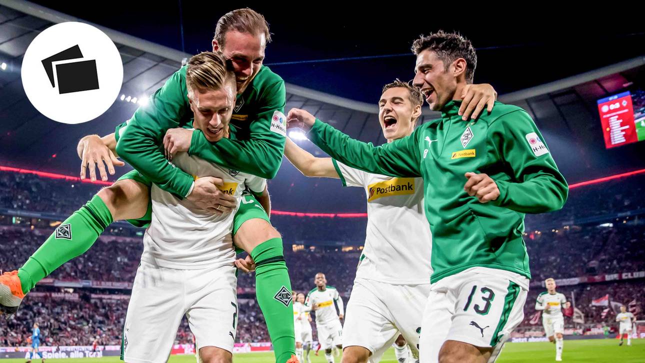 Deshalb sind die Fohlen so stark