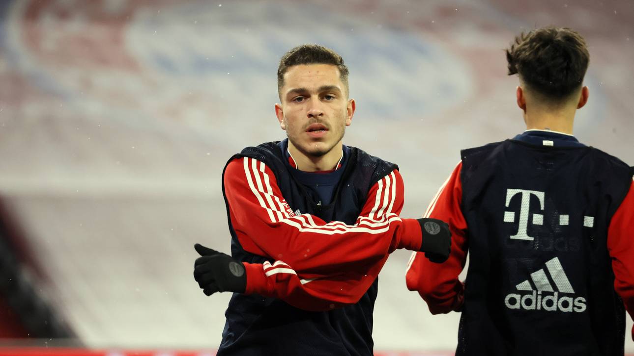 So plant Bayern mit Ibrahimović