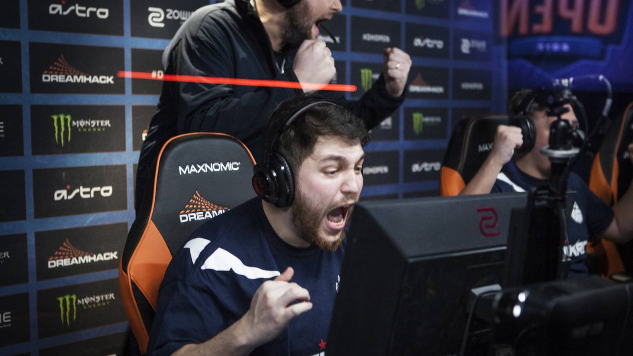 Ein Königreich für eine Bärentatze