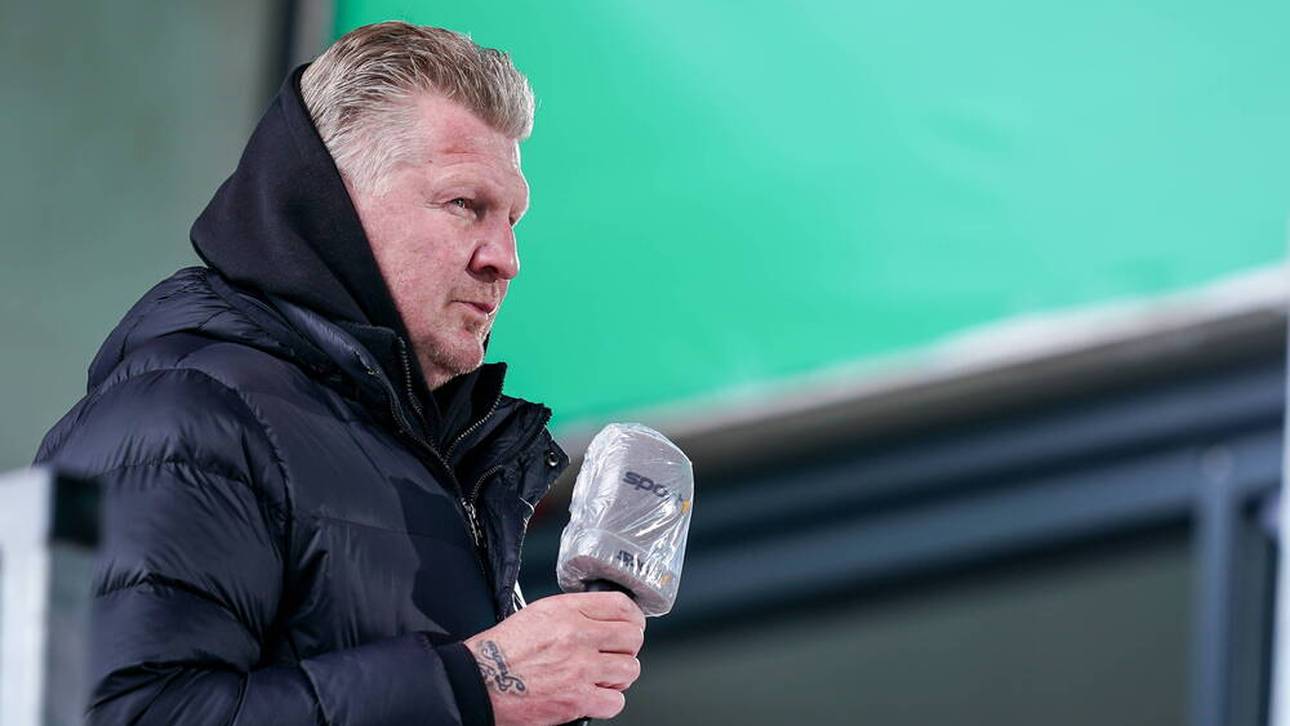 Effenberg fordert Regel-Revolution