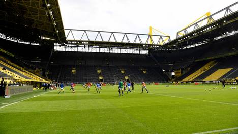 Borussia Dortmund hat den schönsten Rasen der Bundesliga