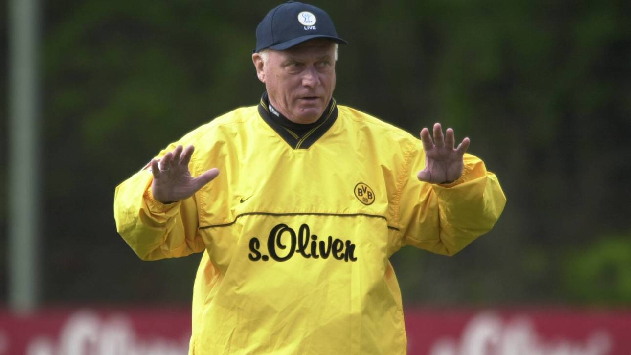 Die Retter aus der Rente