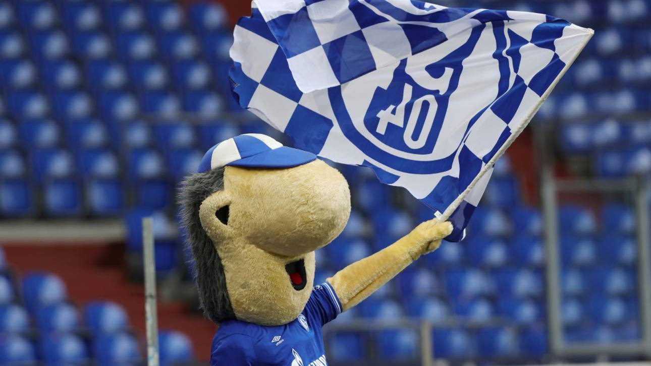 Technik-Probleme auf Schalker Mitgliederversammlung