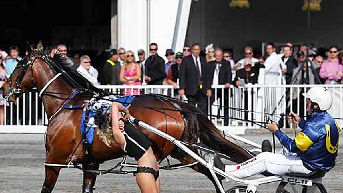 Selbst ein Trabrennen 2011 in Neuseeland ist nicht vor Flitzern gefeit