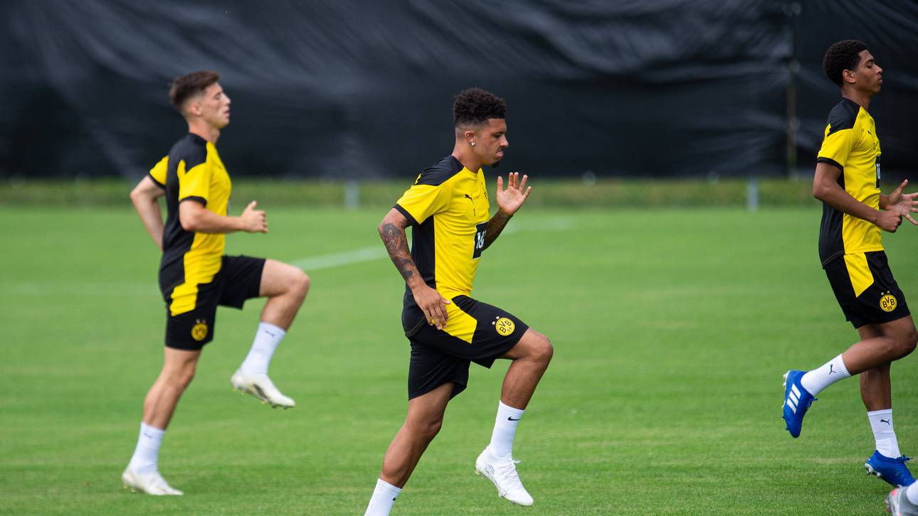 Alles zu Sancho JETZT im Stream