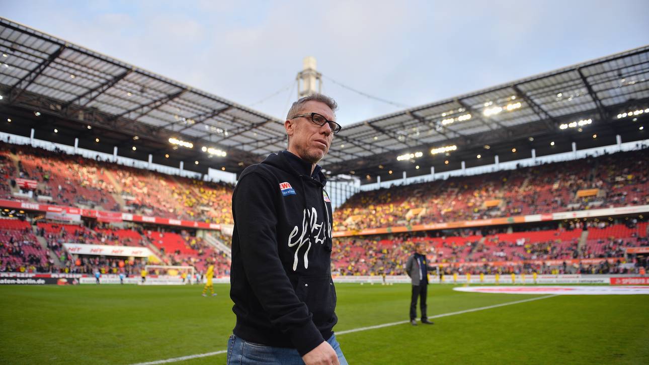 Stöger hat keine Eile bei Verlängerung