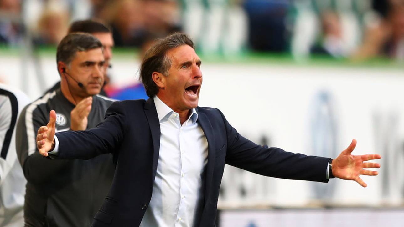 Labbadia wird Hertha-Coach