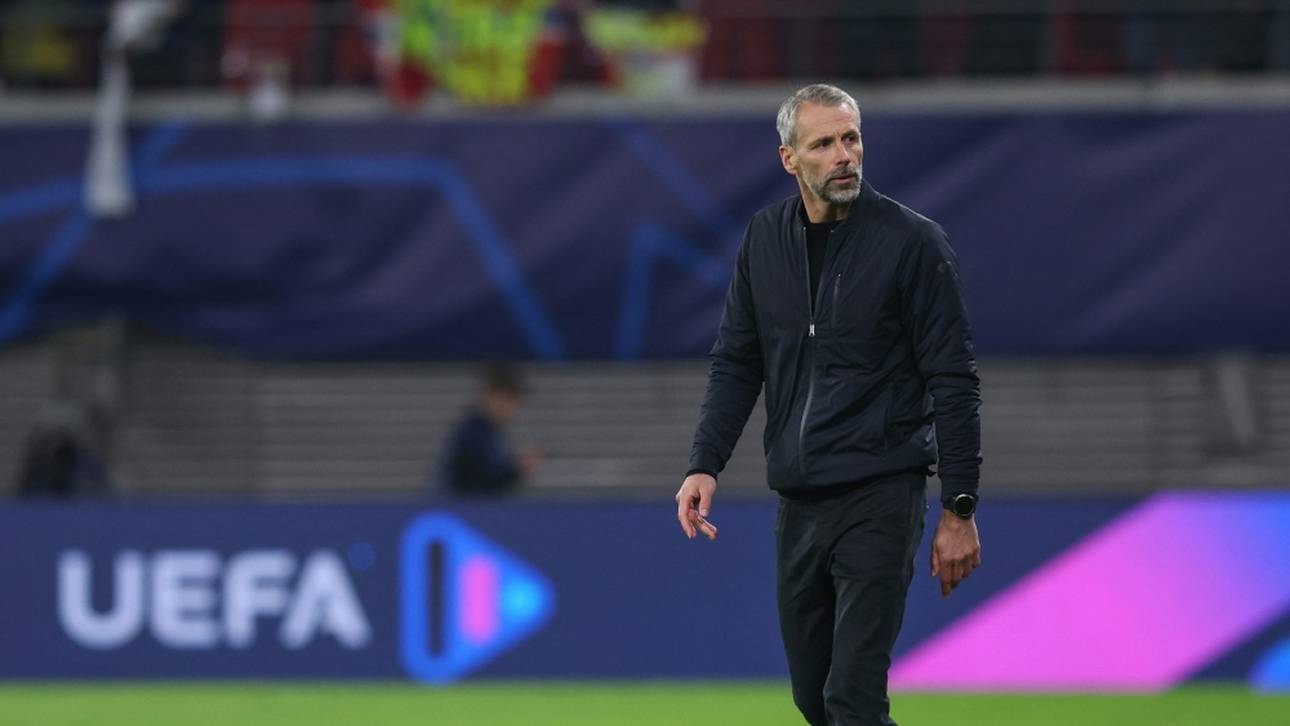 Rose „Wir sind noch da“