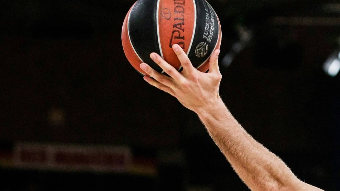 Löwen setzen auf Kontinuität