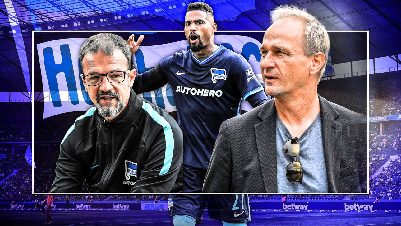 Kruse: Kein Besserer für Hertha