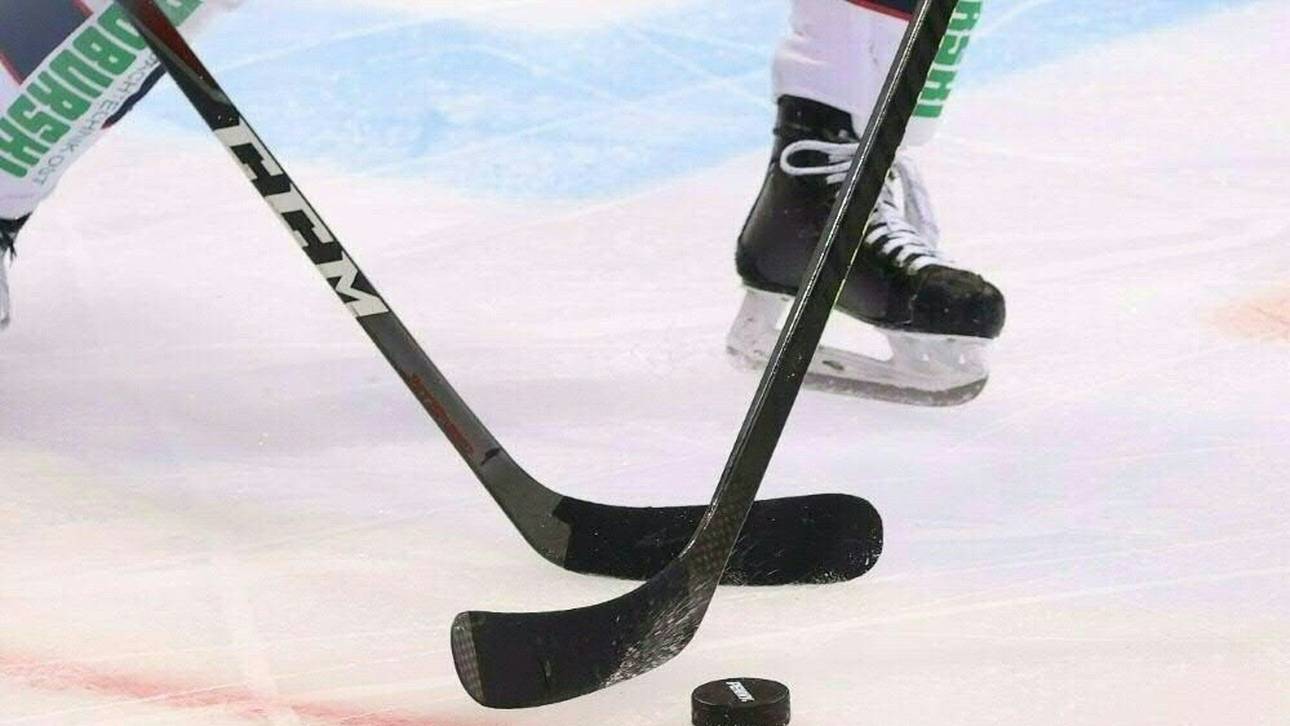 DEL: Mannheim, Berlin und Wolfsburg im Halbfinale