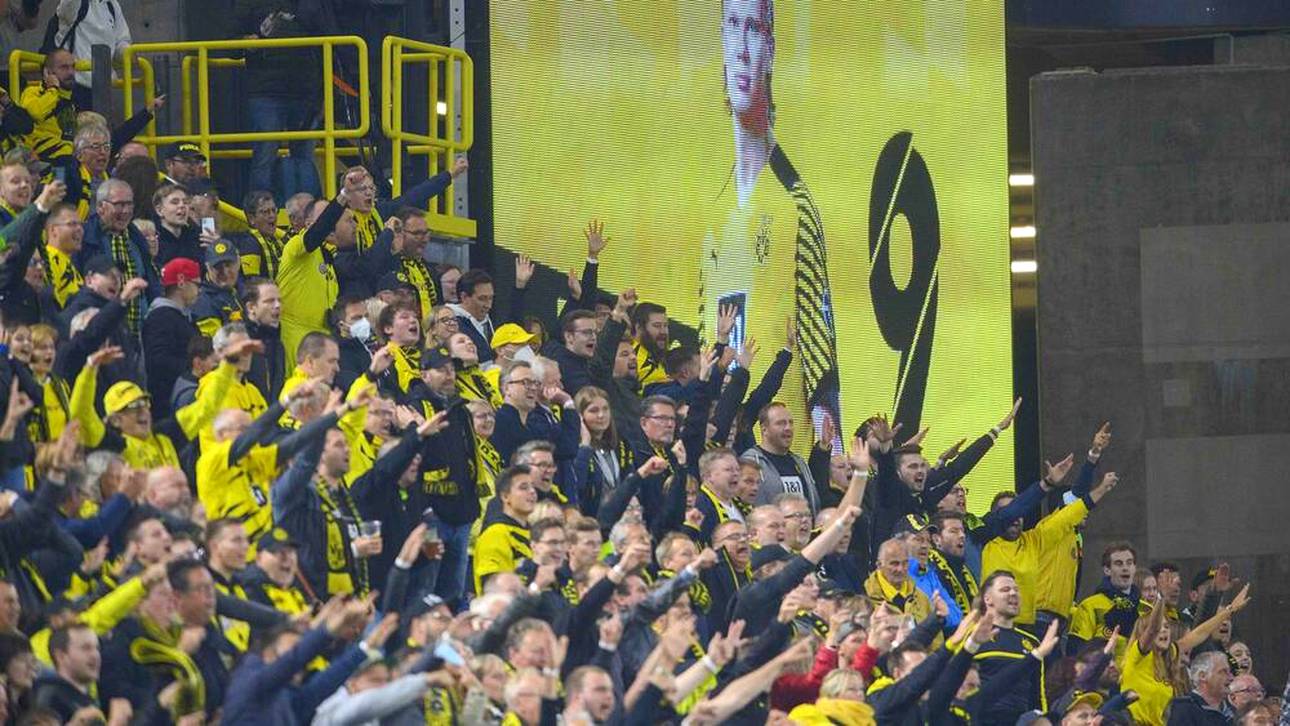 BVB-Fans als Trumpf im Haaland-Poker