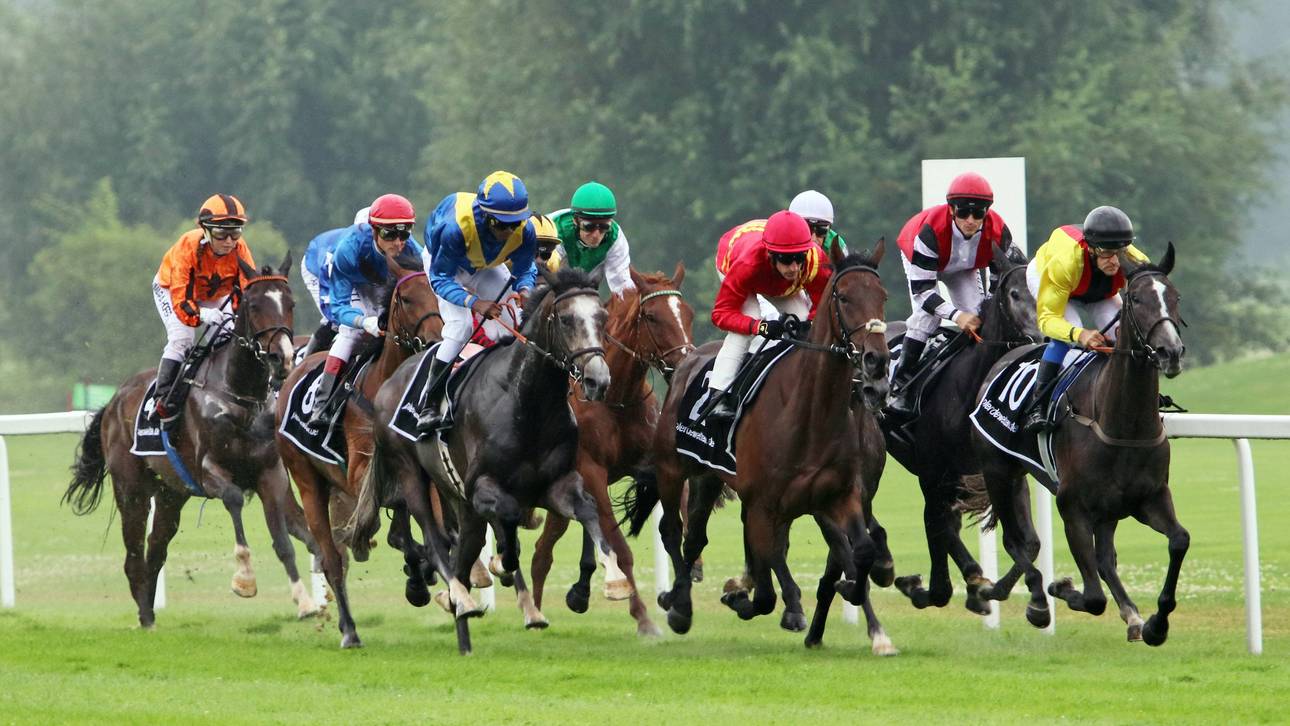 Galopp: Duell der Hochkaräter