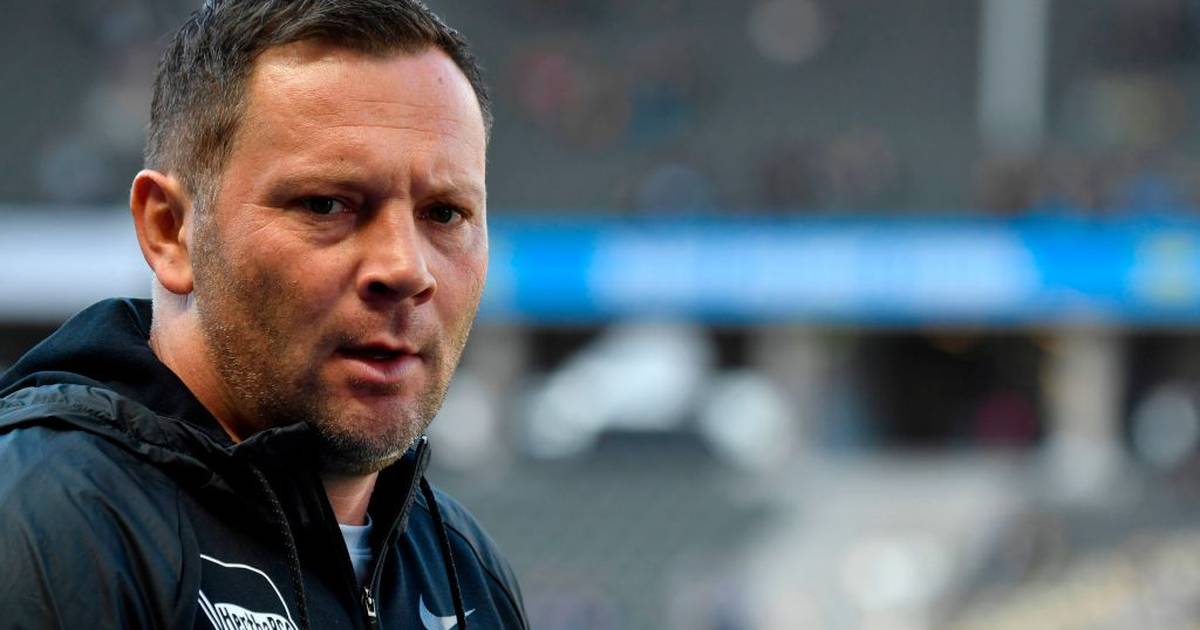 Bundesliga: Pál Dárdai wird nicht Trainer beim 1. FC Köln - SPORT1