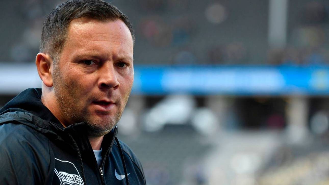 Dárdai wird nicht Trainer in Köln