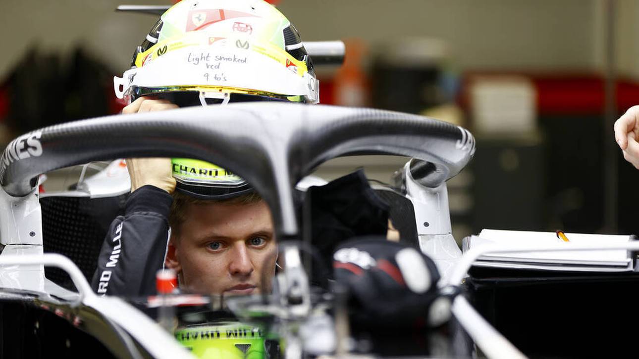 Das erwartet Haas von Schumacher